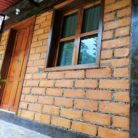 Habitacion Cabana Huapango #4 بينال دي أموليس المظهر الخارجي الصورة