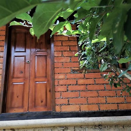 Habitacion Cabana Huapango #4 بينال دي أموليس المظهر الخارجي الصورة